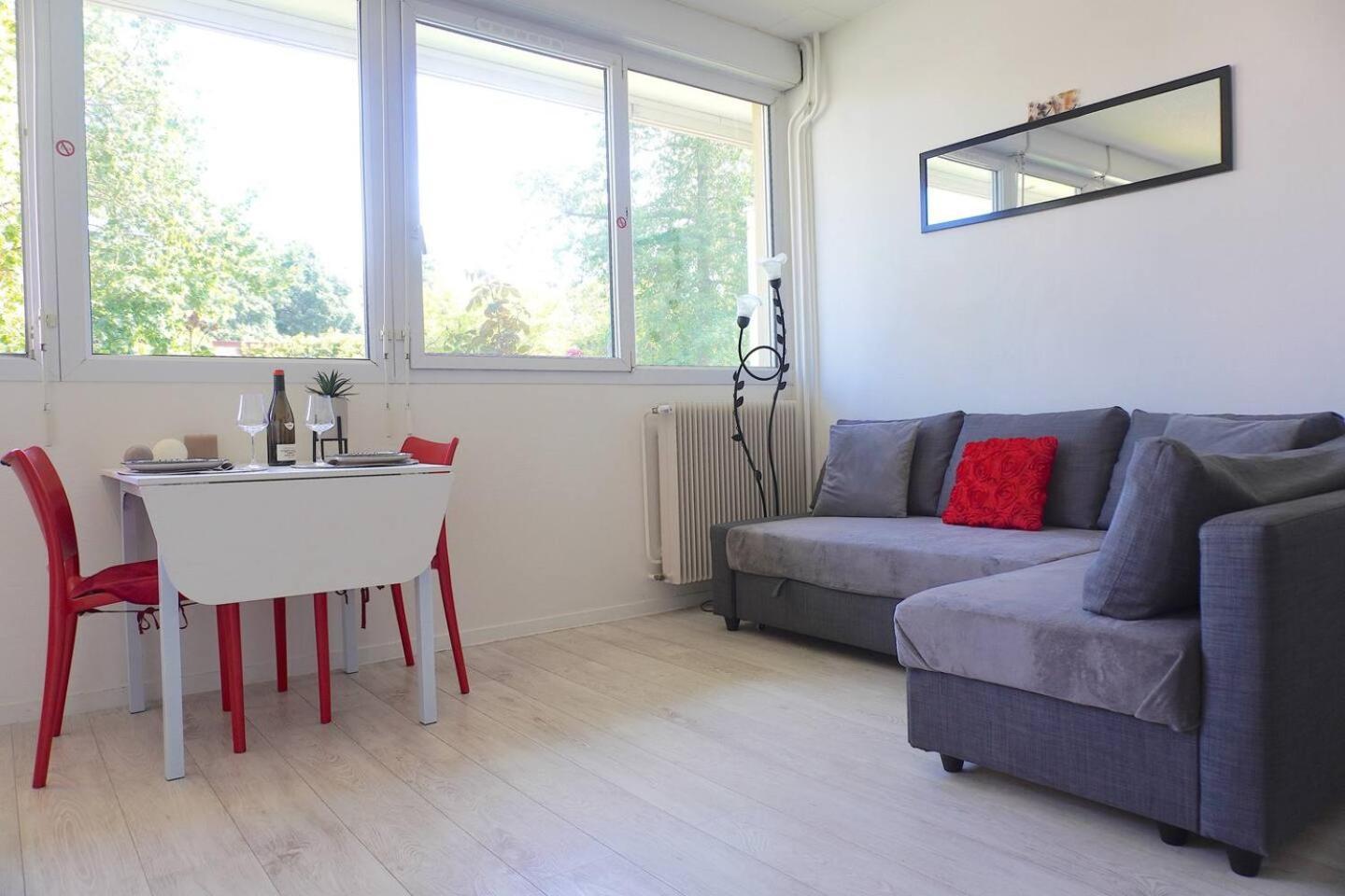 Mâcon Appartement La Roseraie Parking Prive מראה חיצוני תמונה